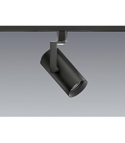 Amazon | ENDO LEDスポットライト 配線ダクトレール用 白